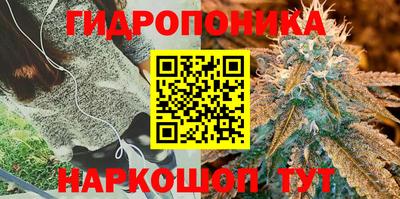 гашик Краснодар