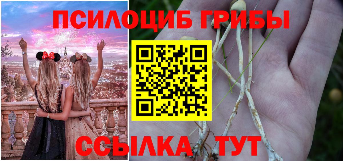 Ипатово  Галлюциногенные грибы мицелий  Вход с VPN 